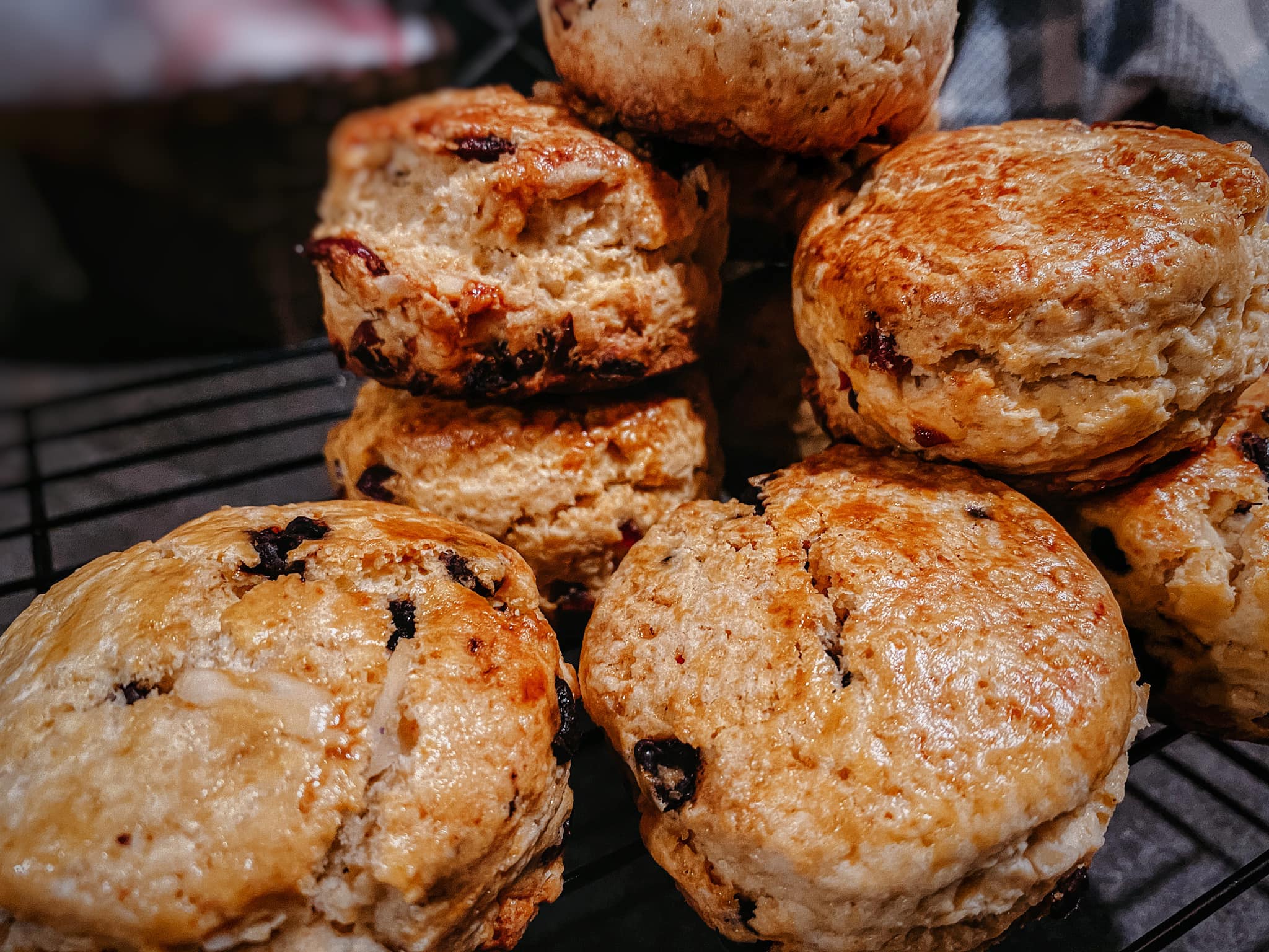 Scone choc chip