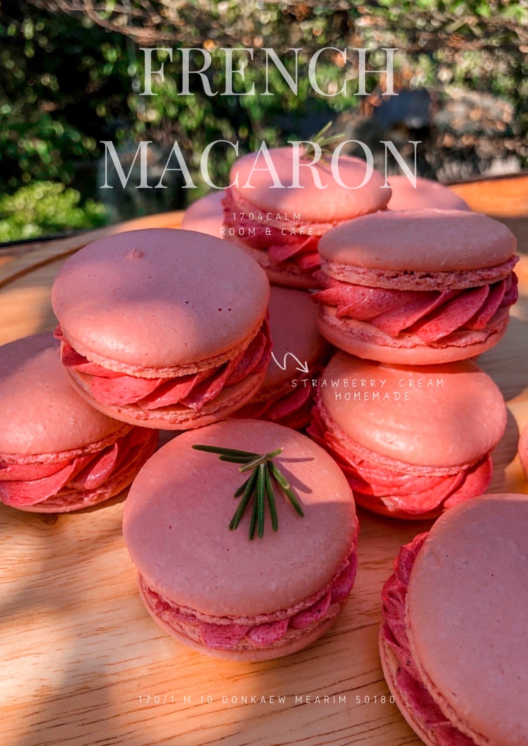 Macaron