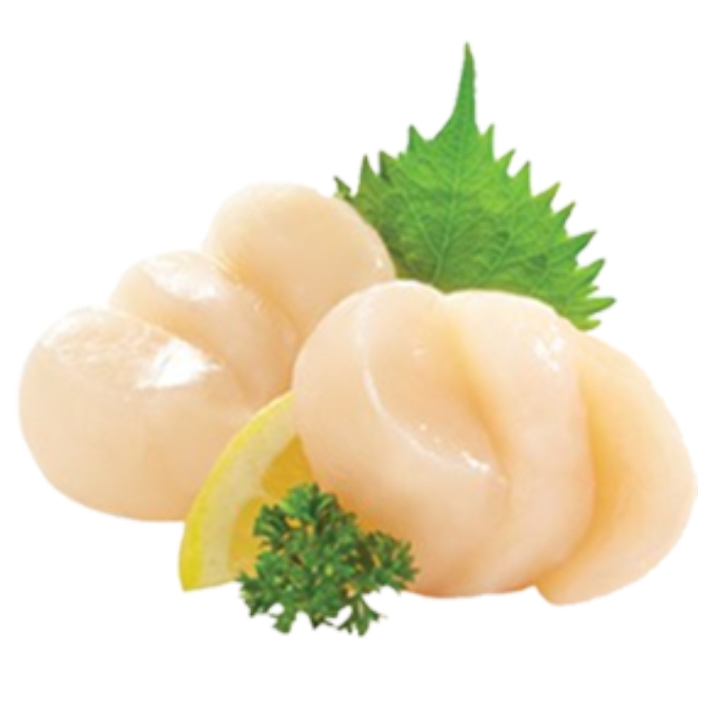 Hotate sashimi