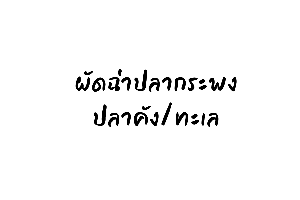ผัดฉ่าปลากระพง/ปลาคัง/ทะเล