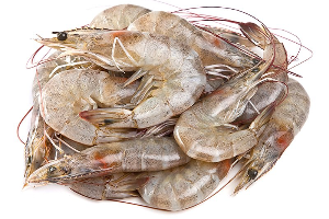 กุ้ง ขาว 50 ตัวโล បង្គាស្រស់ 50 Pc/ 1Kg.