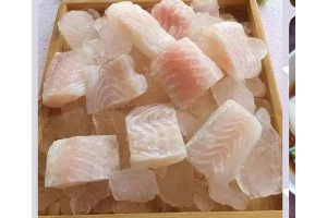 ปลาดอลลี่