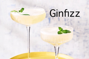 Ginfizz