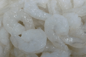 กุ้งเด้ง