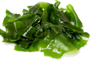 สาหร่ายวากาเมะ