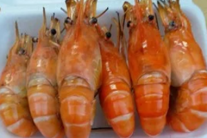 กุ้งเผา