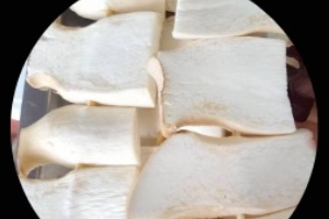 เห็ดออรินจิ