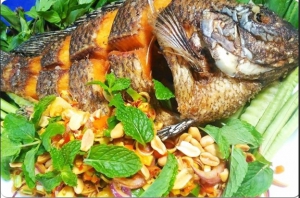 ปลานิลลุยสวน