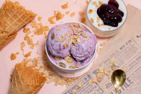 Yogurt Blueberry