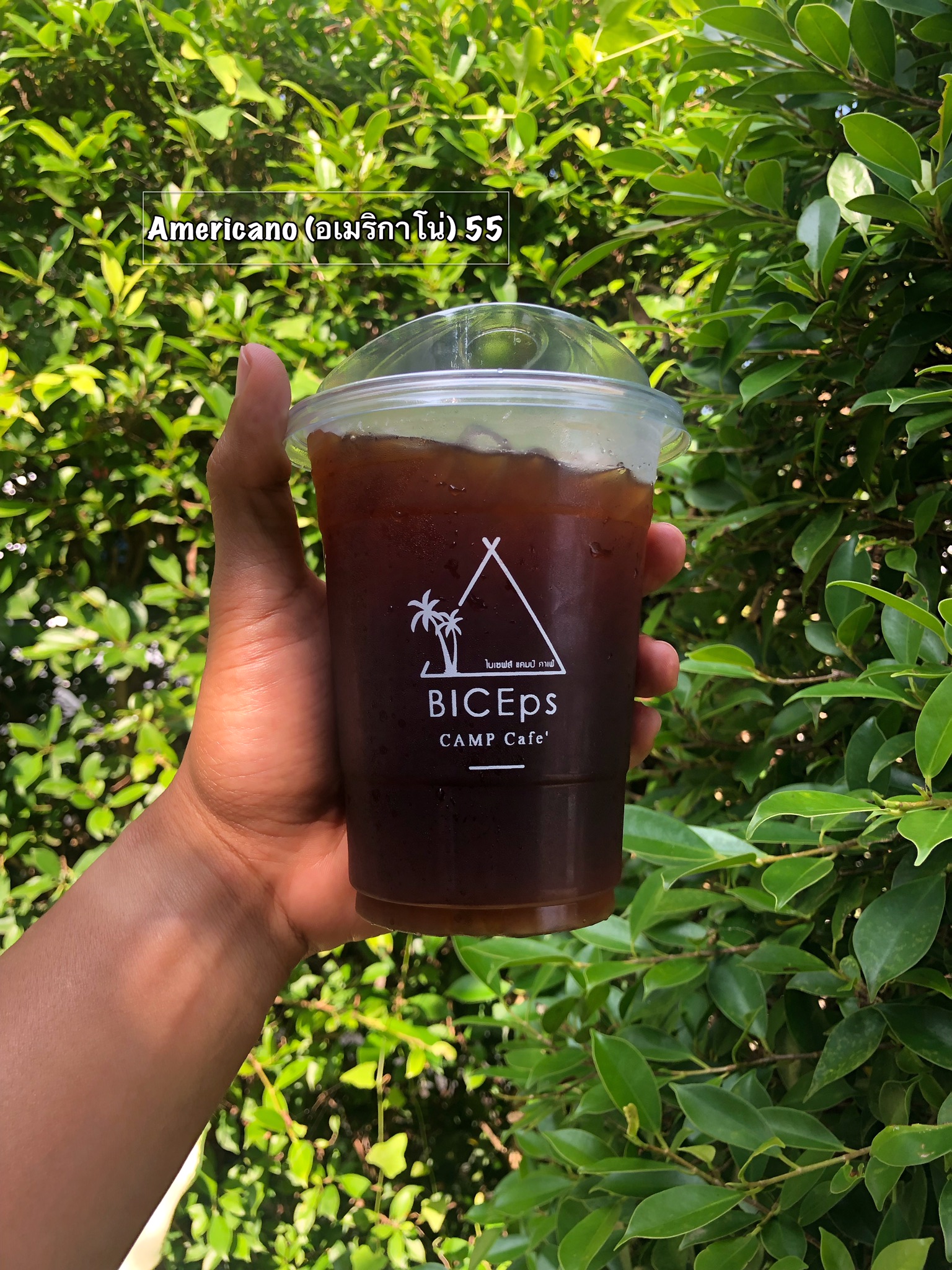 Americano (อเมริกาโน่)