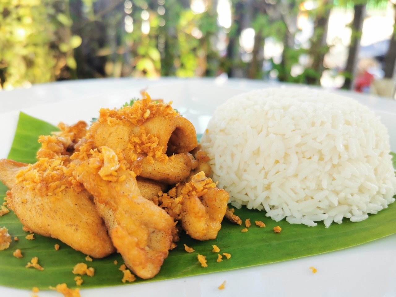 ข้าวไก่ทอดกระเทียม