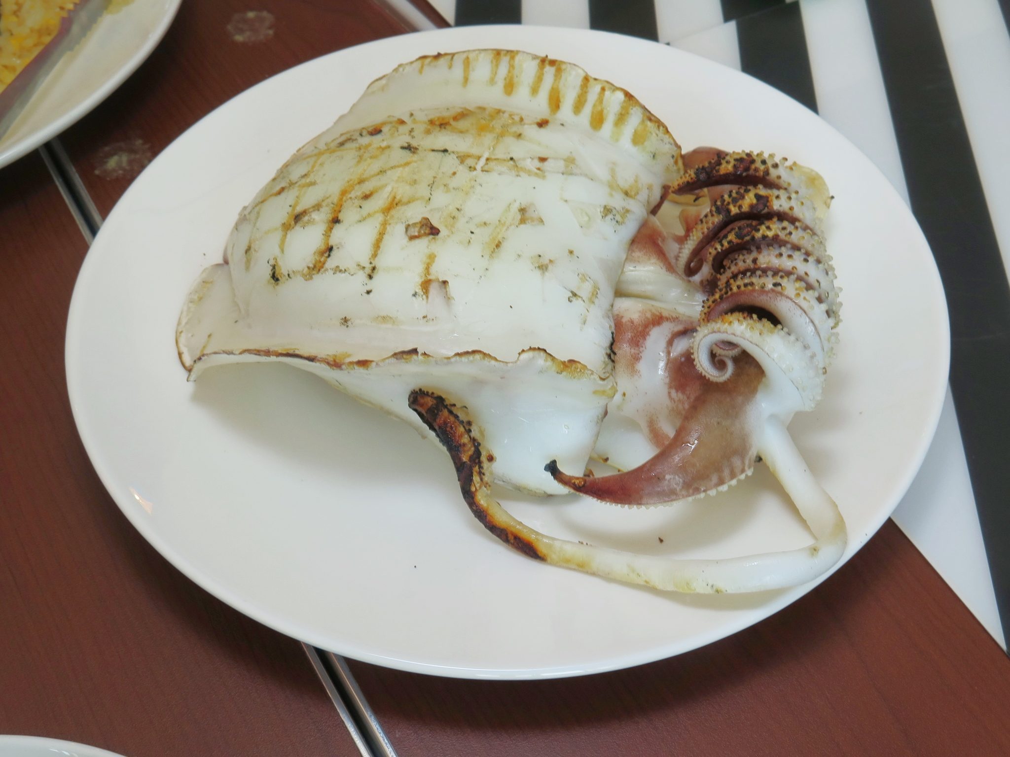 หมึกกระดองจัมโบ้