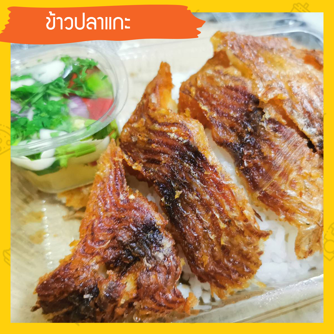 ข้าวปลาแกะ 