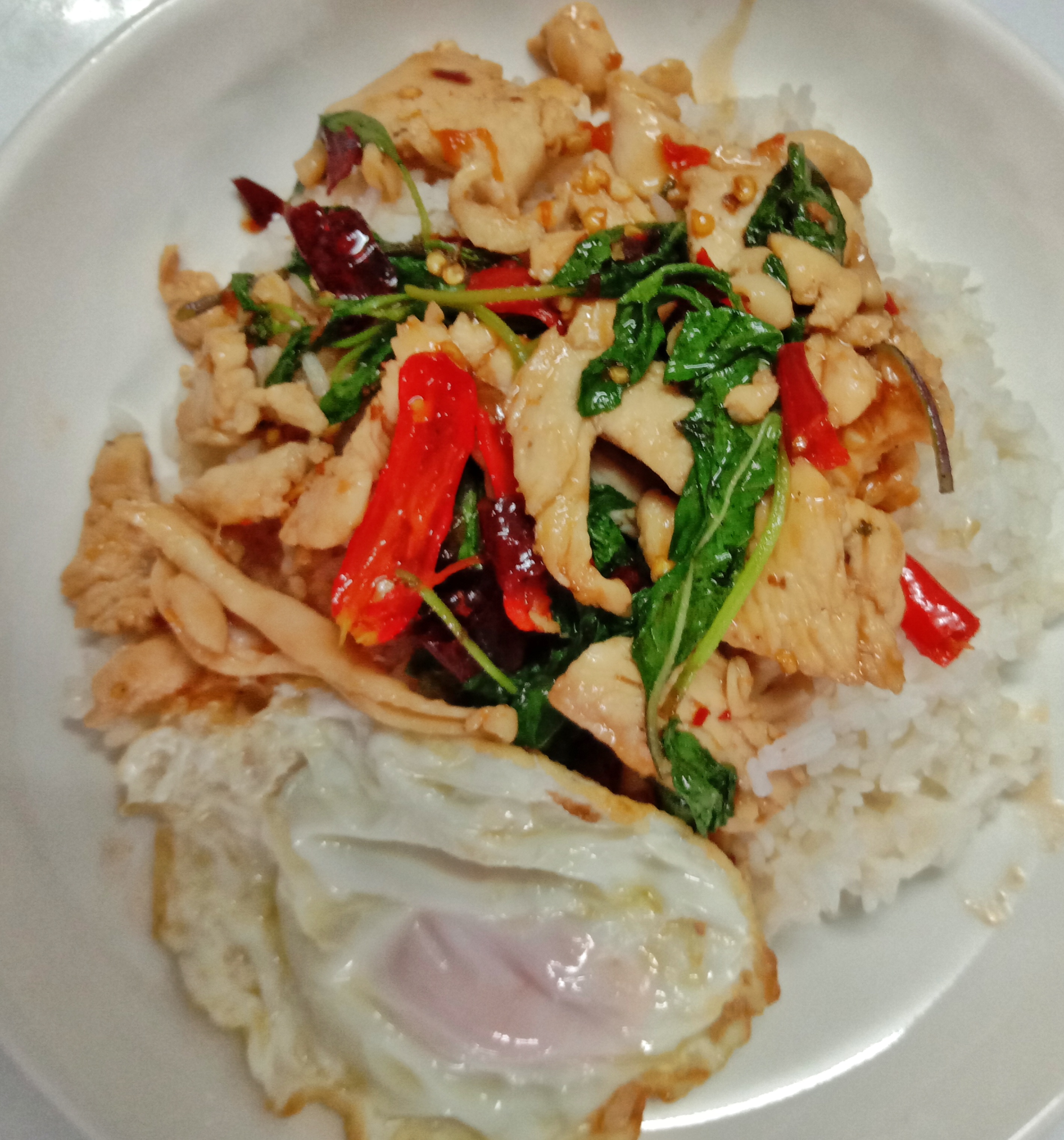 ข้าวกะเพราไก่