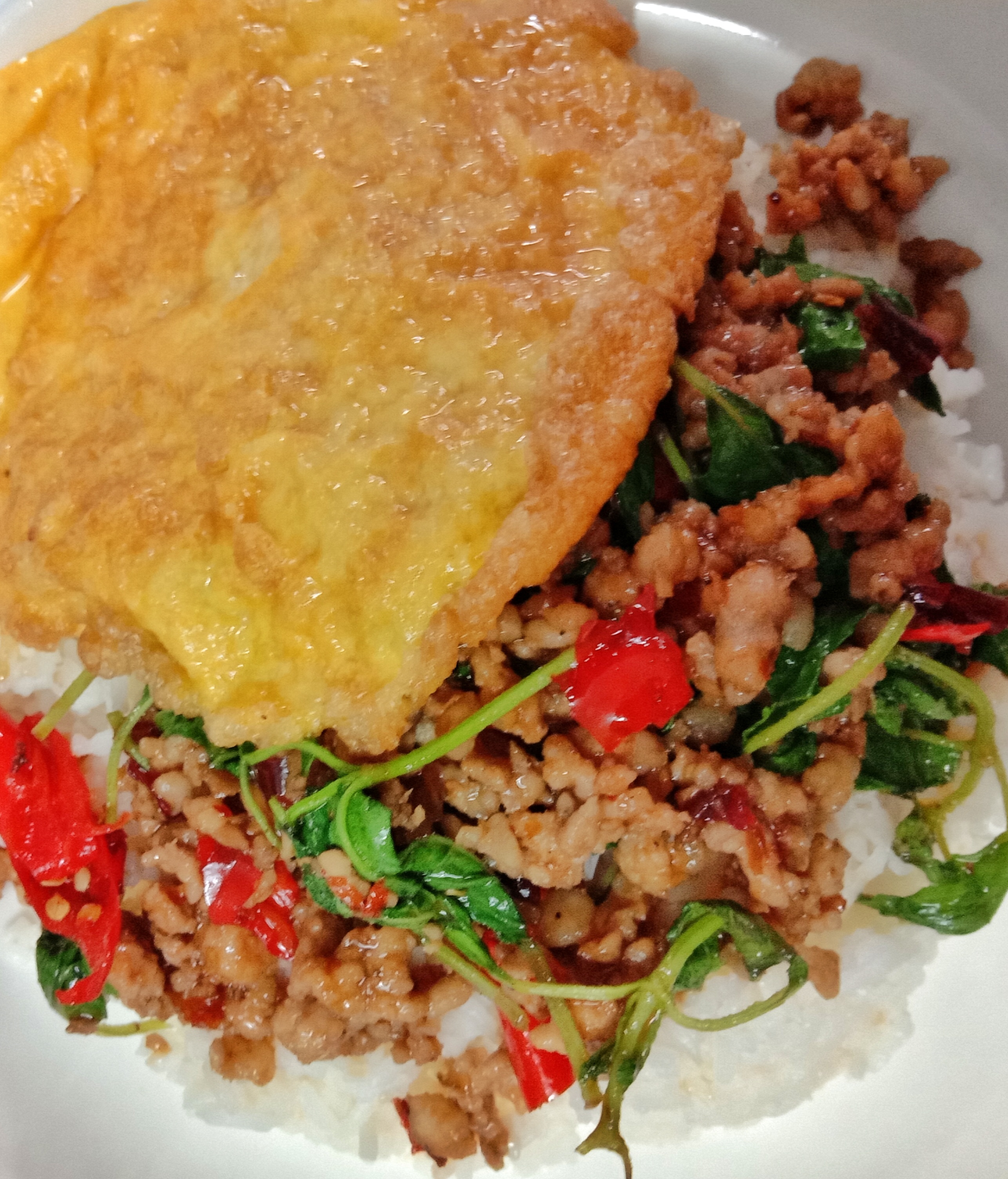 ข้าวกะเพราหมู