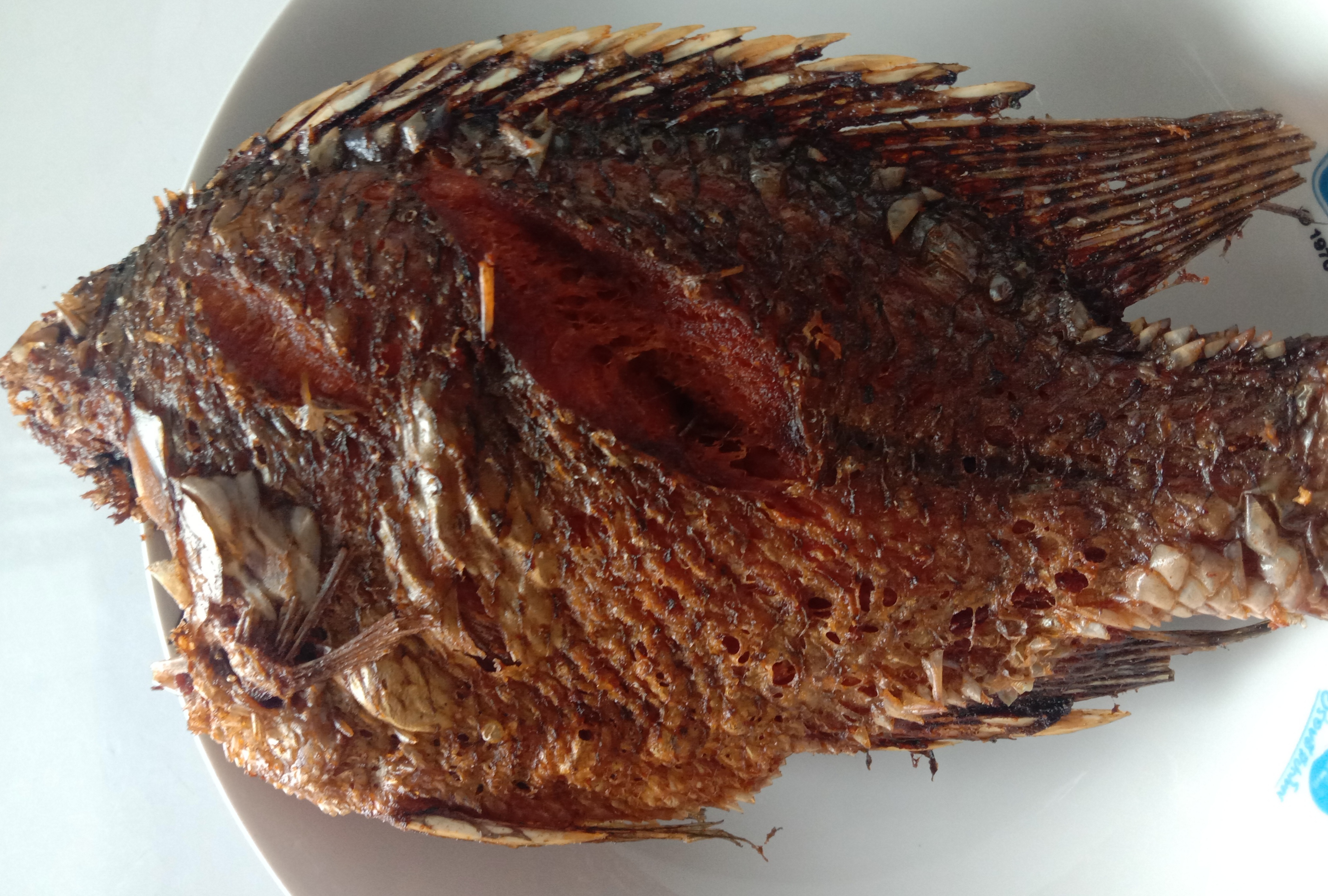 ปลานิล(เป็นตัว)