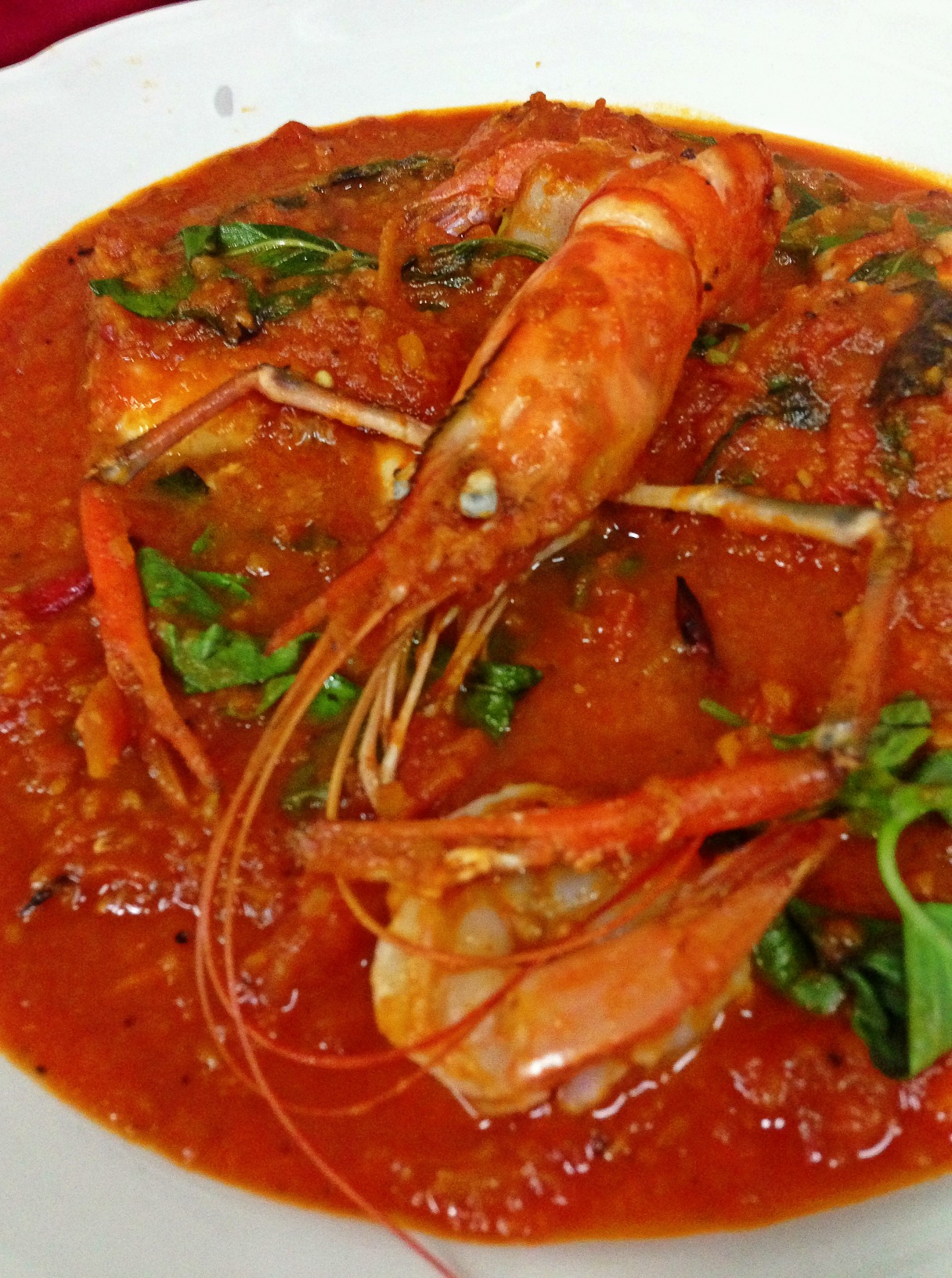 7 ทะเลรวมรส คัทซูโก้ CACCIUCCO