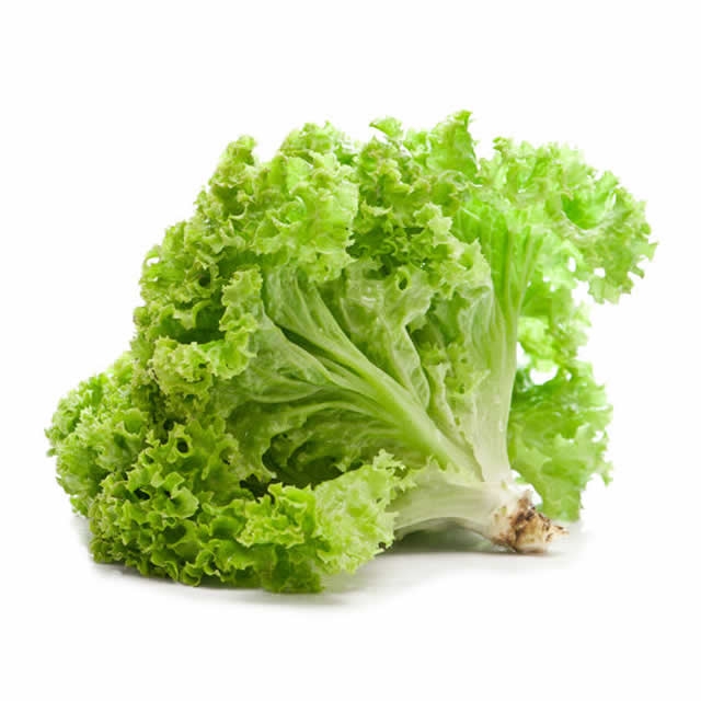 Lettuce