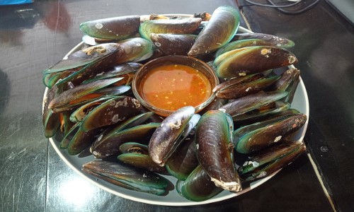 หอยแมลงภู่ใหญ่ 500g.