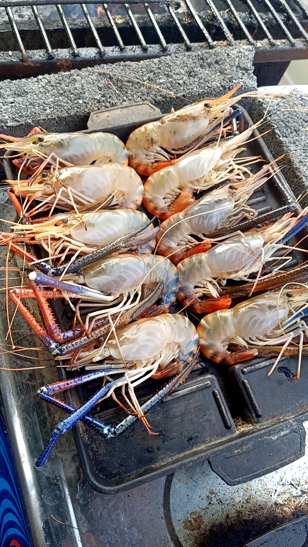 กุ้งแม่น้ำไซส์ใหญ่ 500 g.