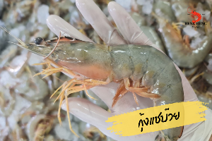 กุ้งแชบ๊วย