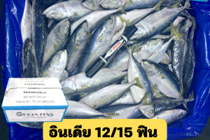 12/15 โอเชี่ยนฟิน(OEAN FINS)