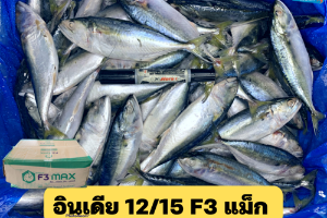 12/15 F3 แม็ก(F3MAX)
