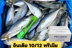 10/12 พรีเมีย(PREMIER)