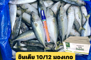 10/12 มองเกอ(FISH MONGERS)