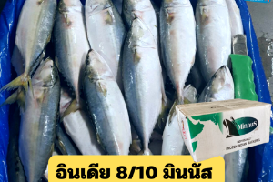 8/10 มินนัส(MINNUS)