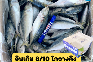 8/10 โกอานคิง(GOAN KING)