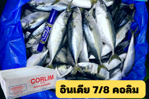 7/8 คอลิม(CORLIM)