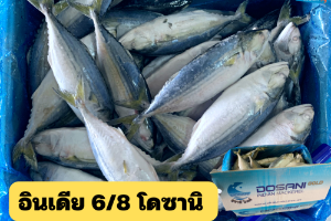 6/8 โดซานิ(DOSANI GOLD)