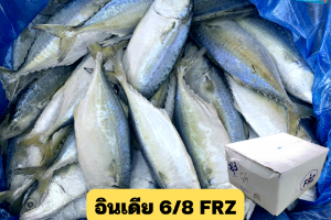 6/8 เอฟอา(FRZ)