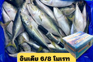 6/8 โมเรท(MOREES)