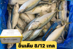 8/12 เทล(OCEAN TALES)
