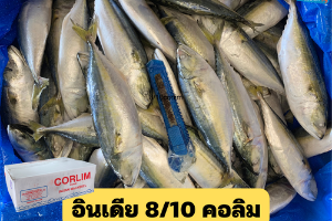 8/10 คอลิม(Corlim)