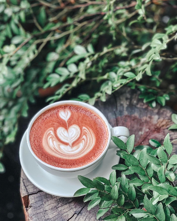 Hot Cocoa