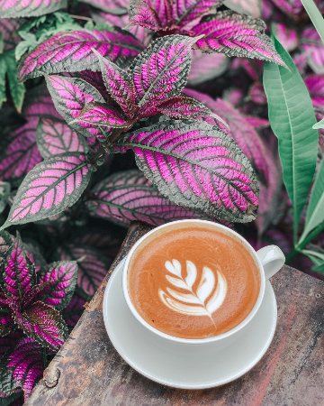 Hot Mocha