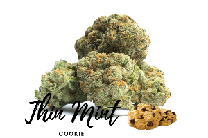 Thin Mint Cookie