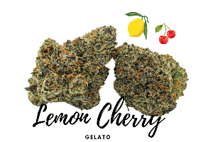 Lemon Cherry Gelato