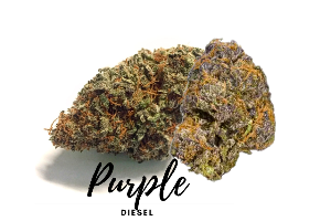 Purple Diesel