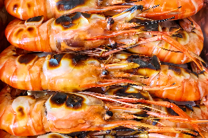 กุ้งเมีย ไร้ไข่ |ครึ่งโล