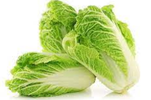 ผักกาดขาว