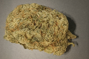 Jet Fuel