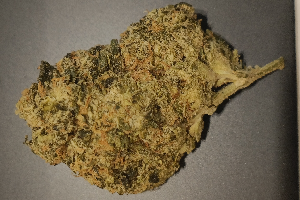 Gas Face