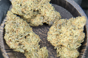 Platinum Zooks