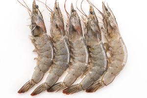 56-กุ้งสด(49 บ.)