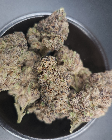 Vice City (Popcorn)