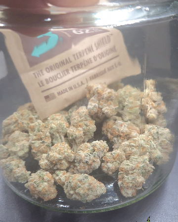 Slurricane IX